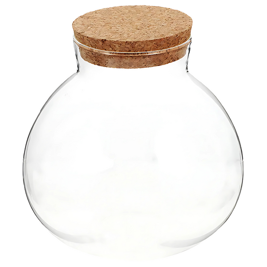 Bouteille Écologique en Verre – Terrarium Décoratif Créatif 