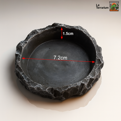 Gamelle en Résine pour Terrarium 