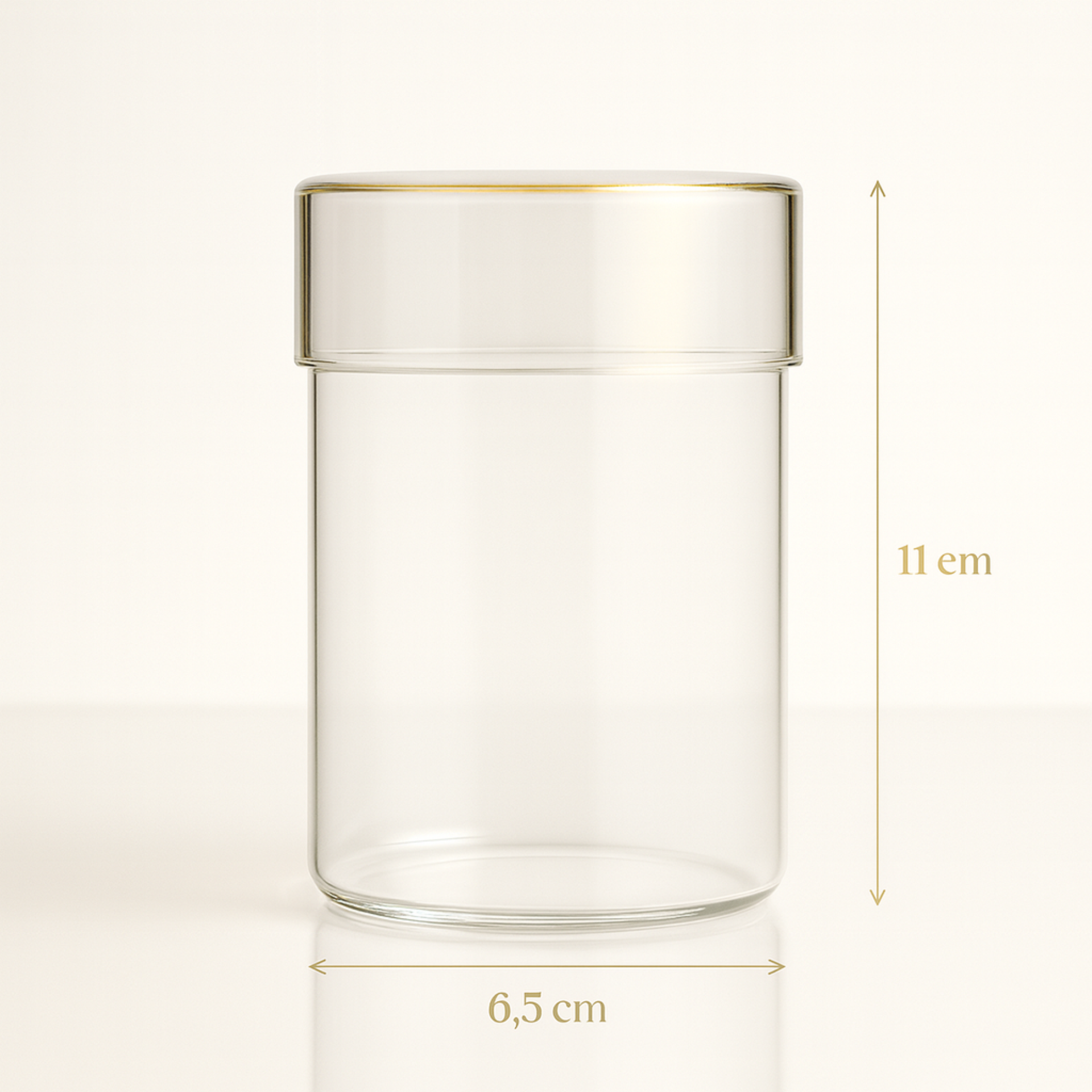 Terrarium Plante en Tube 