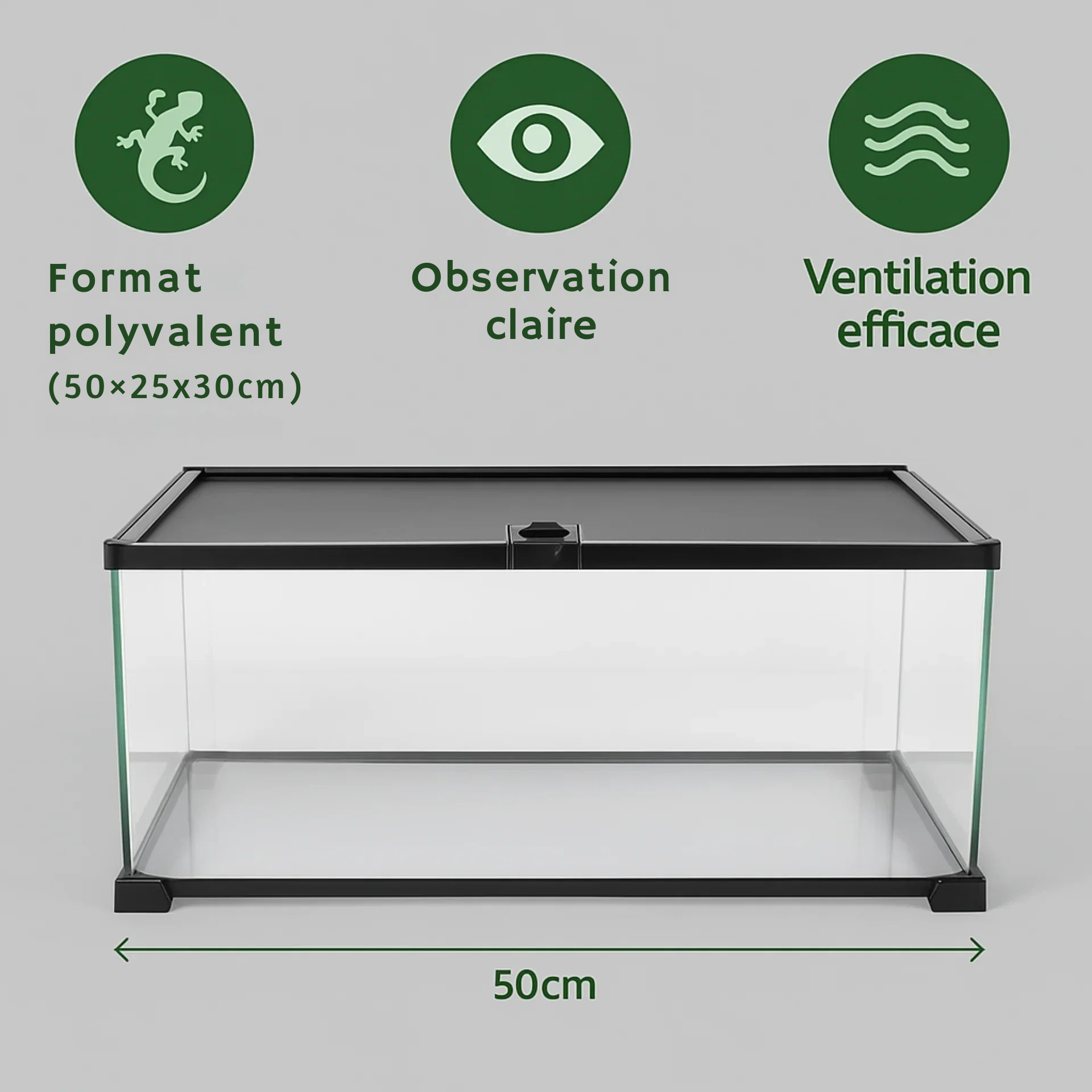 Terrarium avec Couvercle Coulissant (50 × 25 × 30 cm) 