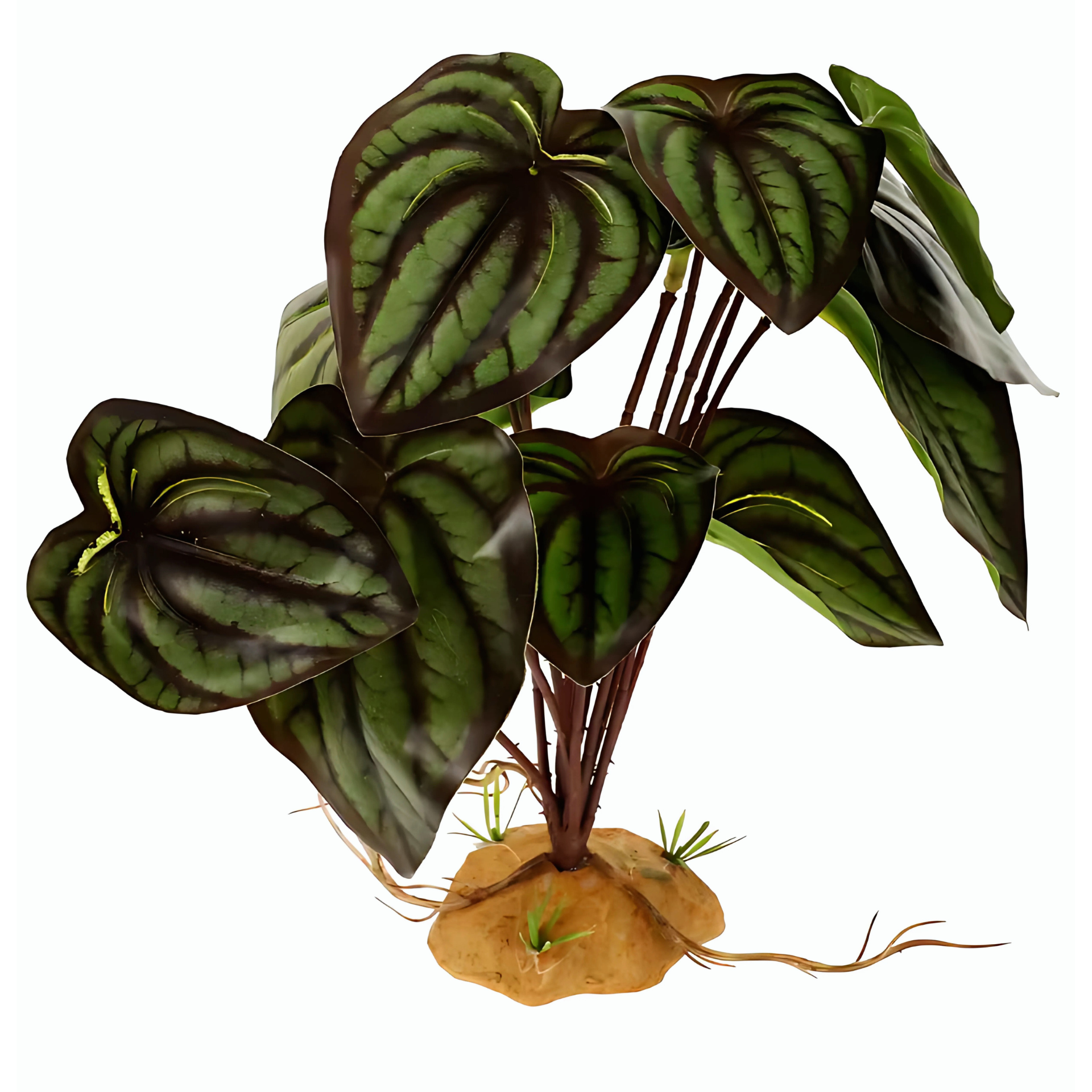 Plante Tropicale pour Terrarium – Feuillage Artificiel Réaliste 