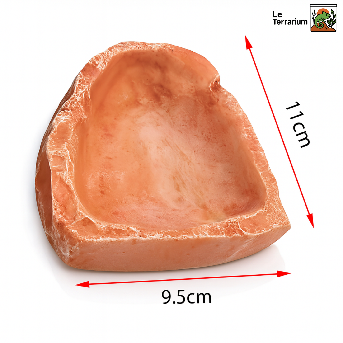 Gamelle en Résine pour Terrarium 