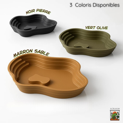 Bassin Solide pour Terrarium – Point d’Eau Naturel & Polyvalent 