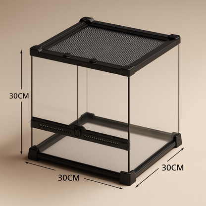 Terrarium en verre transparent 