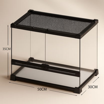 Terrarium en verre transparent 