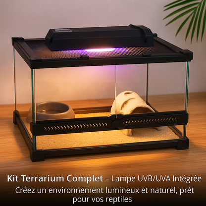 Terrarium en Verre avec Lampe UVA/UVB 