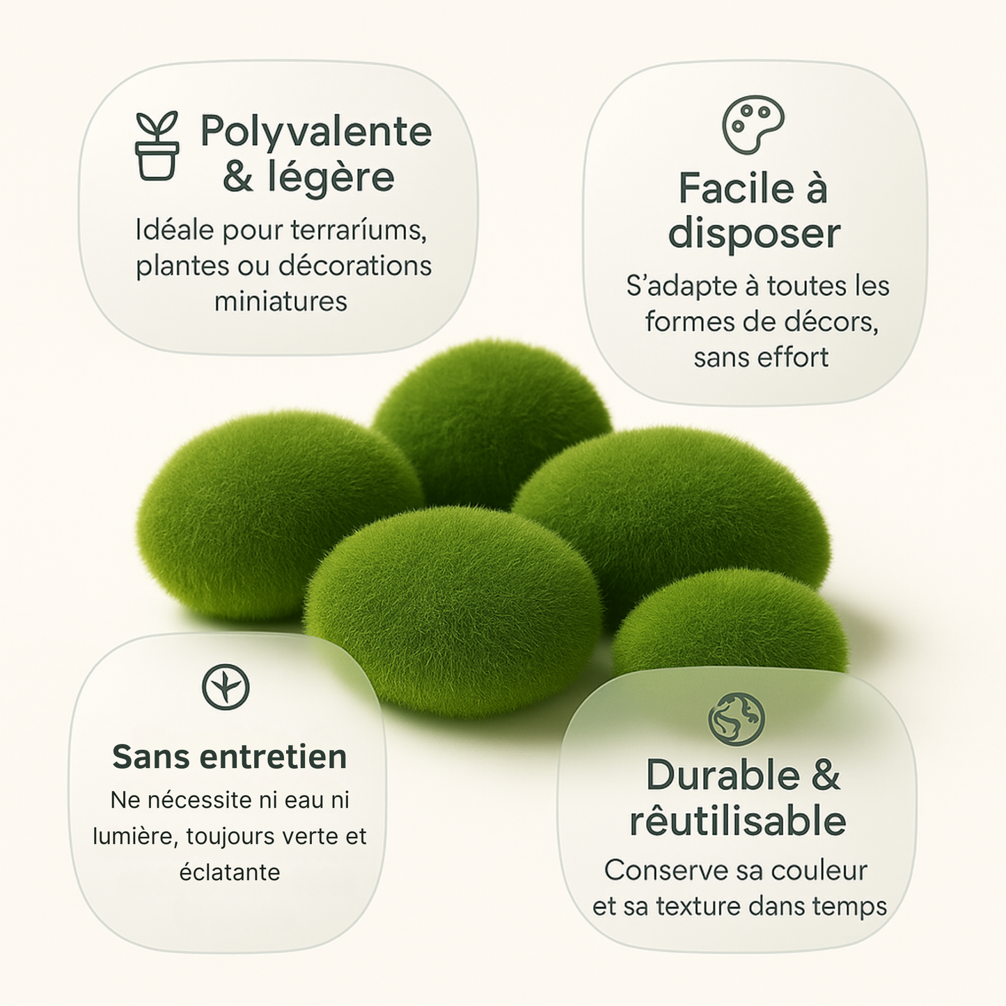 Mousse pour Terrarium 