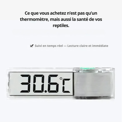 Thermomètre Électronique LCD pour Terrarium – Affichage Digital 