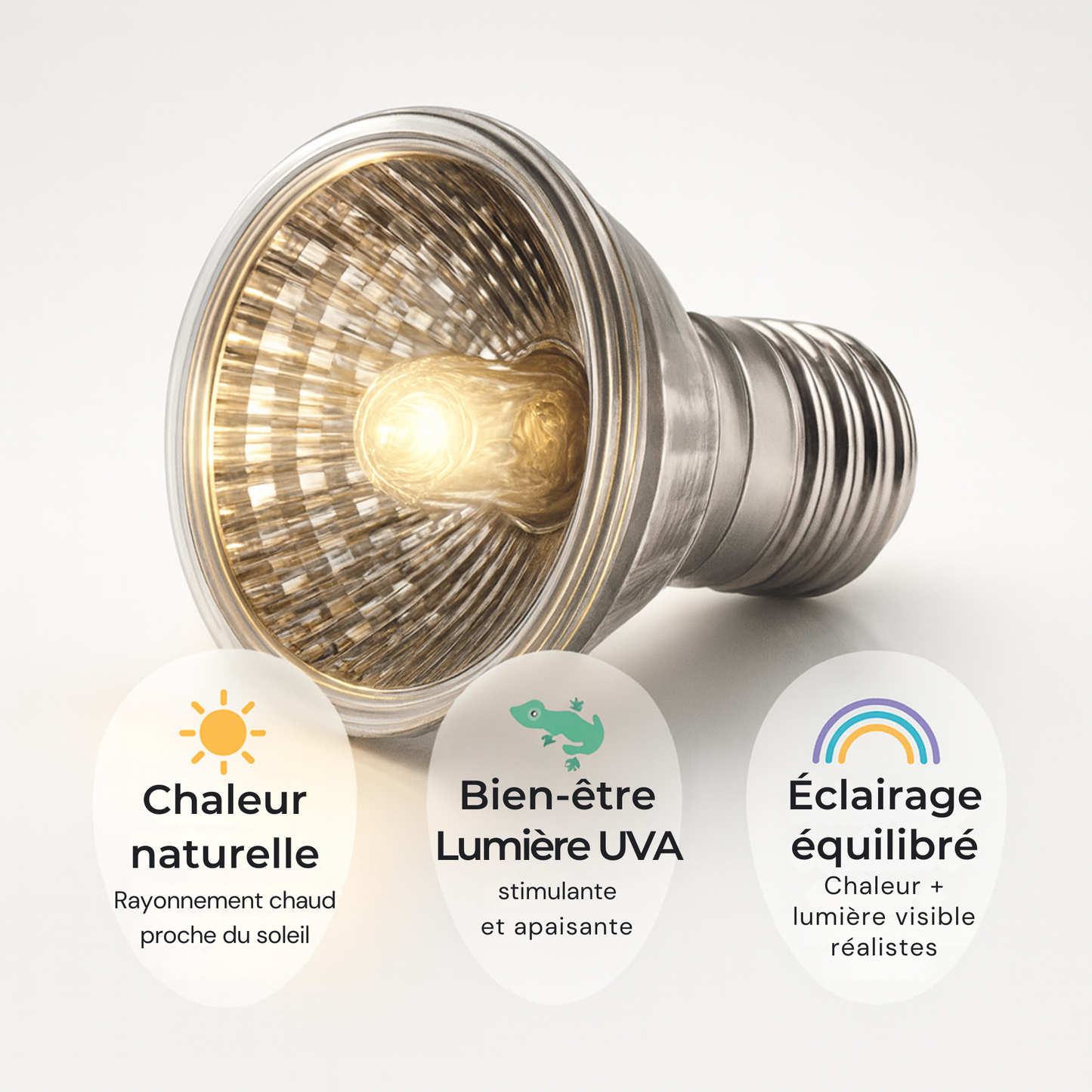 Ampoule UVA pour Terrarium 