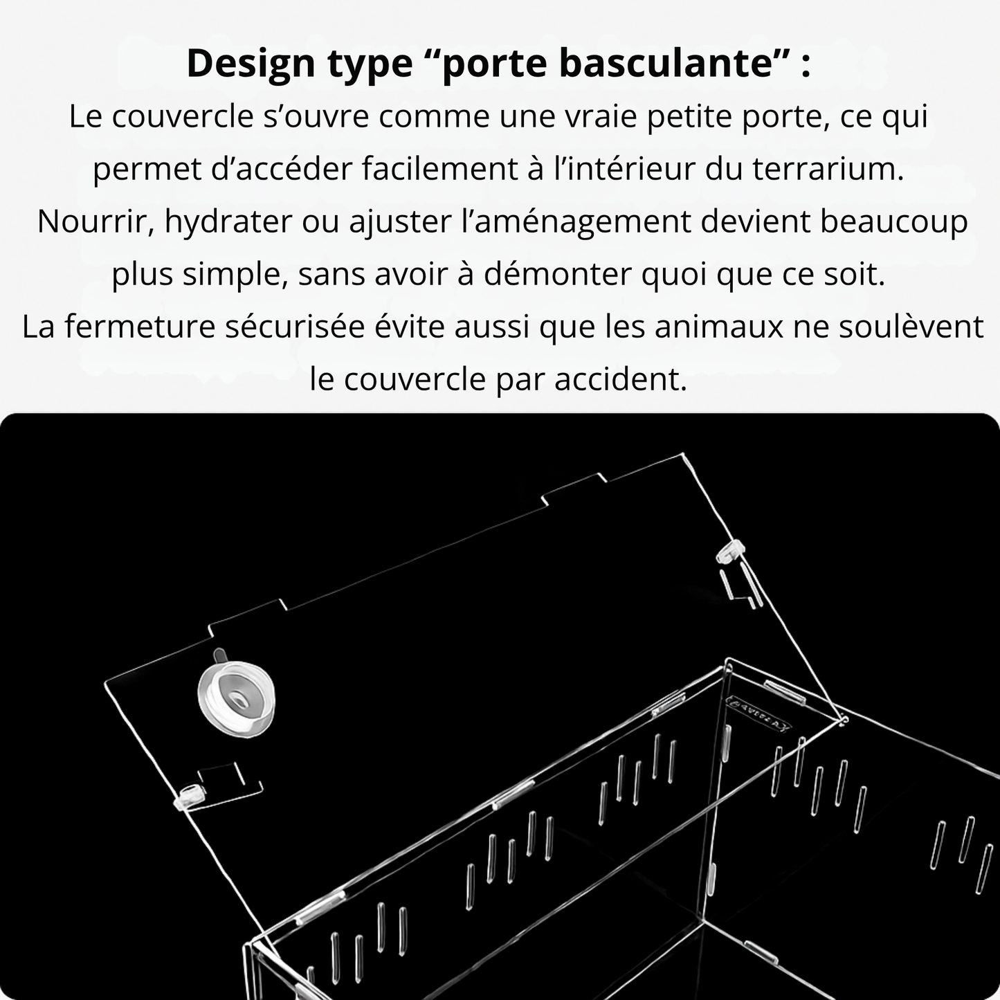 Terrarium en Acrylique à 4 Compartiments 