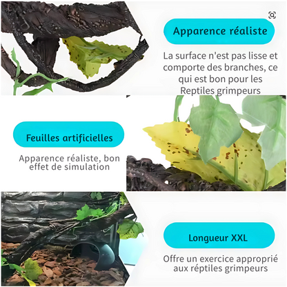 Lianes pour Terrarium style Jungle 