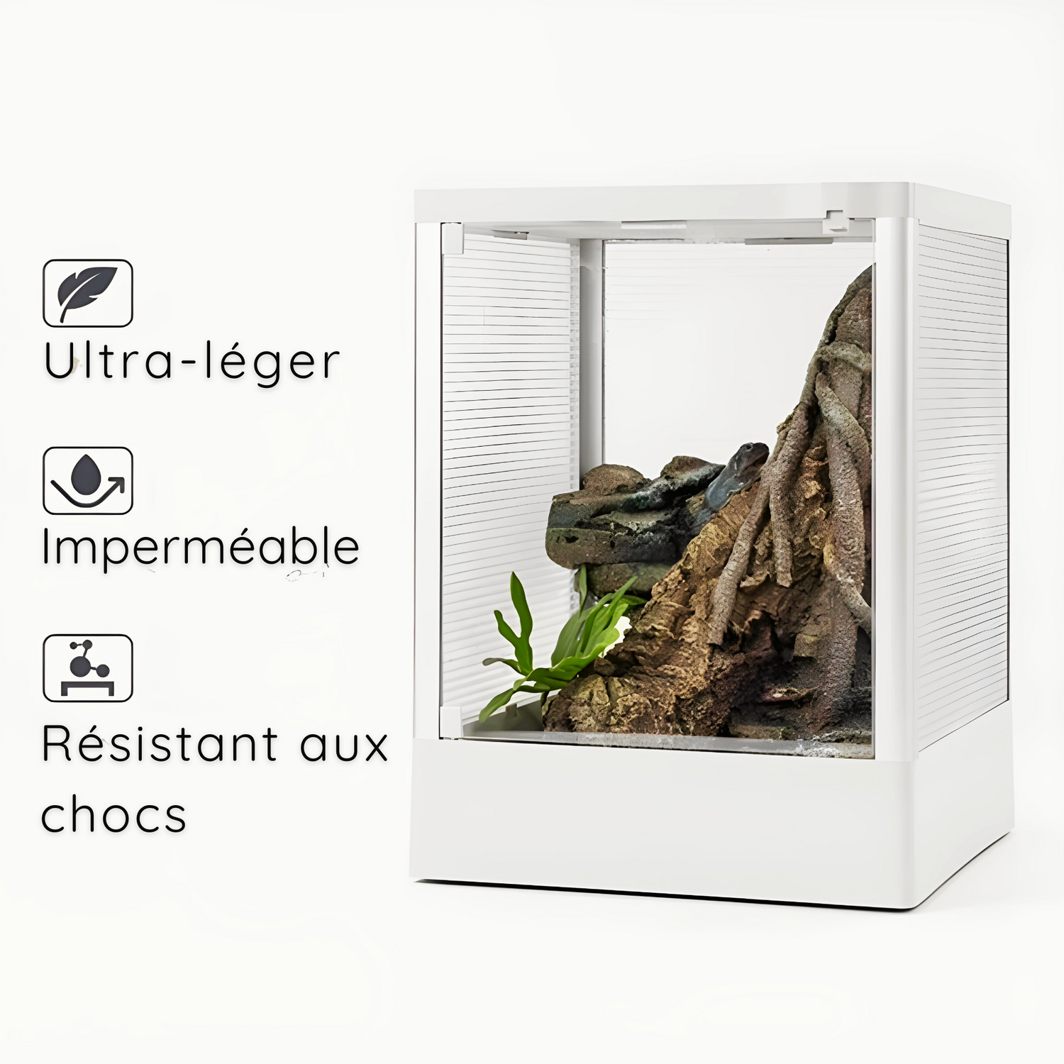 Terrariums en pvc et verre 