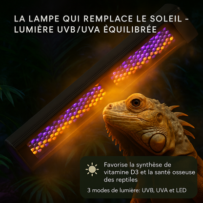 Lampe UVB 10.0 à Spectre Complet pour Terrarium 
