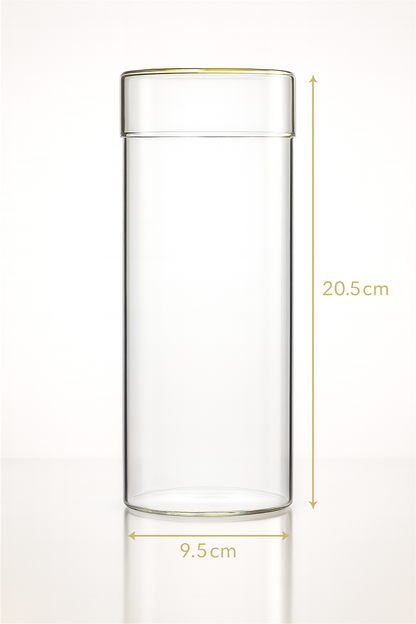 Terrarium Plante en Tube 