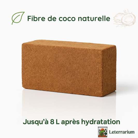 Coco Coir – Substrat en fibre naturelle de coco pour Terrarium 
