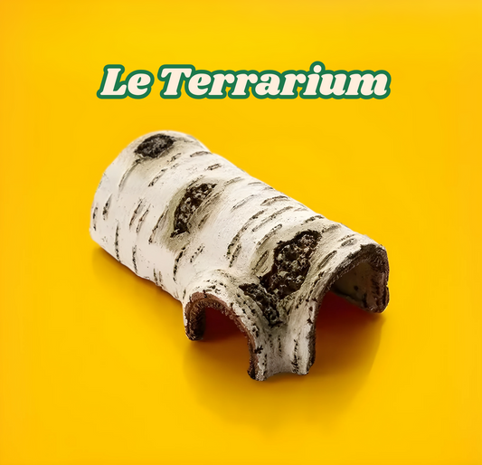 Abri Naturel pour Terrarium – Cachette Tronc de Bois 