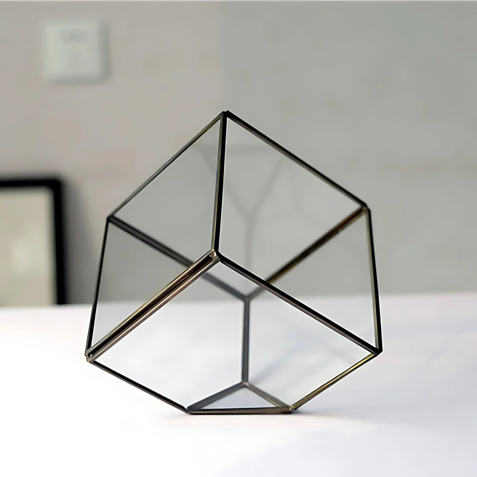 Kit Terrarium en Verre Cube 