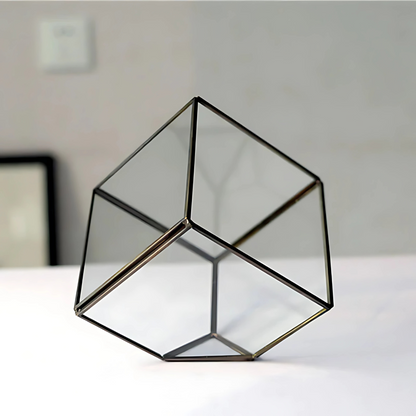 Kit Terrarium en Verre Cube 