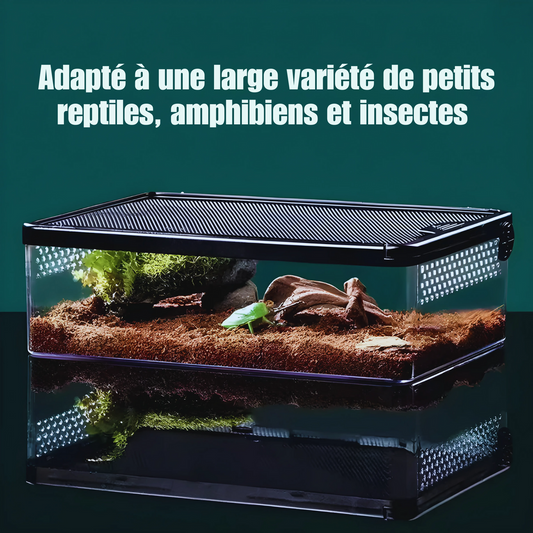 Terrarium Transparent de Nourrissage 