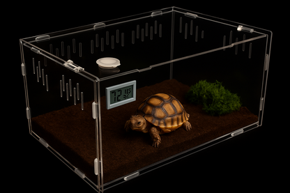 Terrarium en Acrylique à 4 Compartiments 