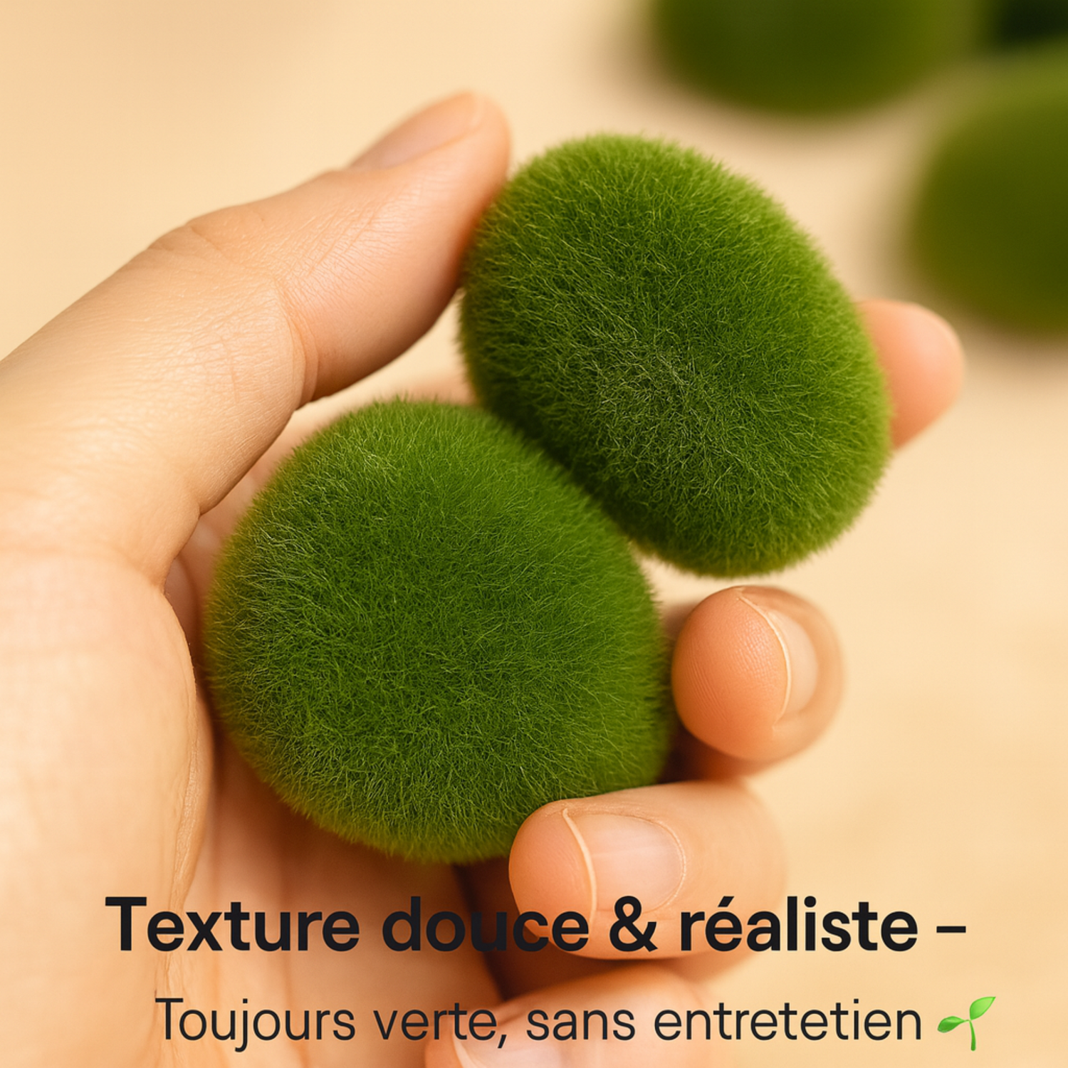 Mousse pour Terrarium 