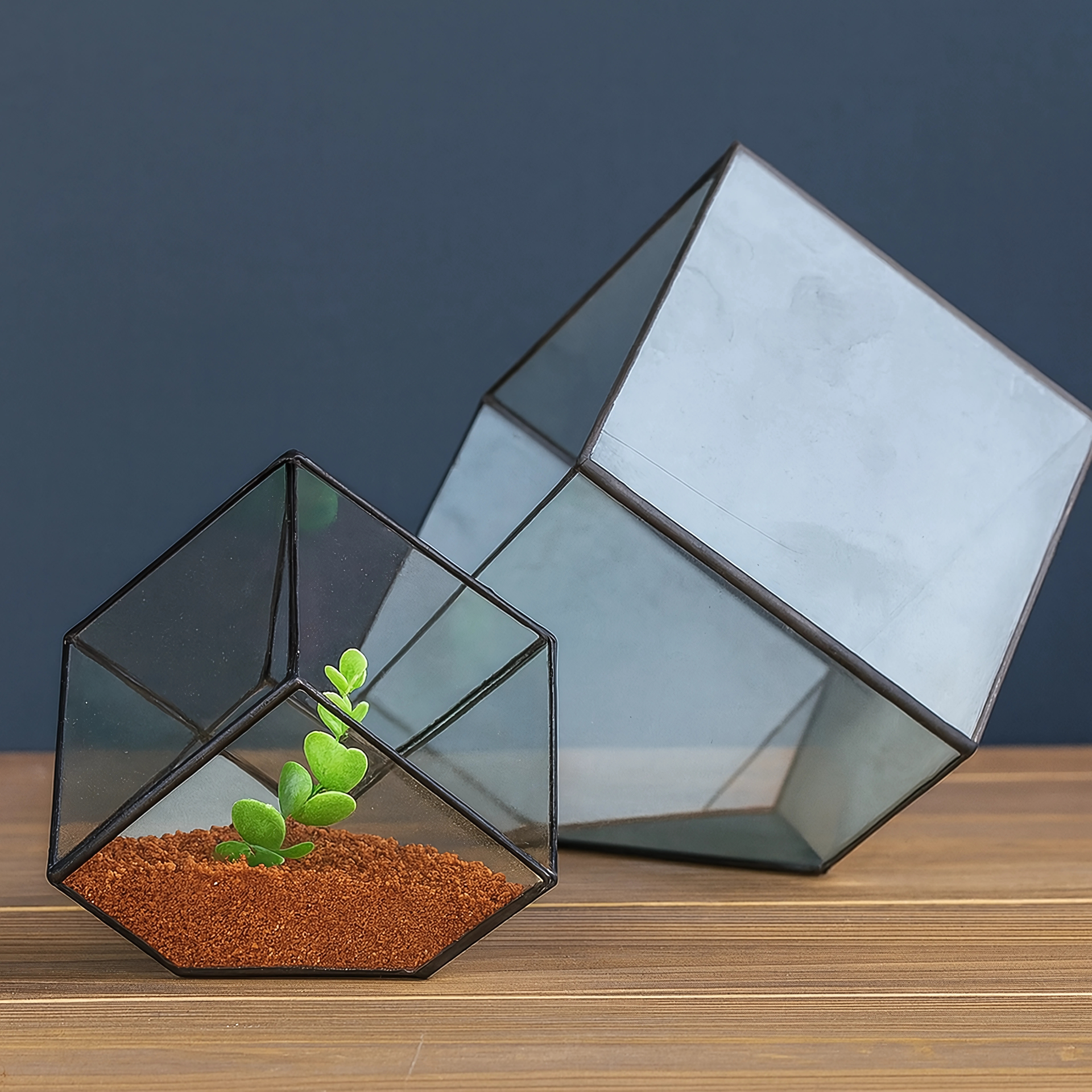 Kit Terrarium en Verre Cube 