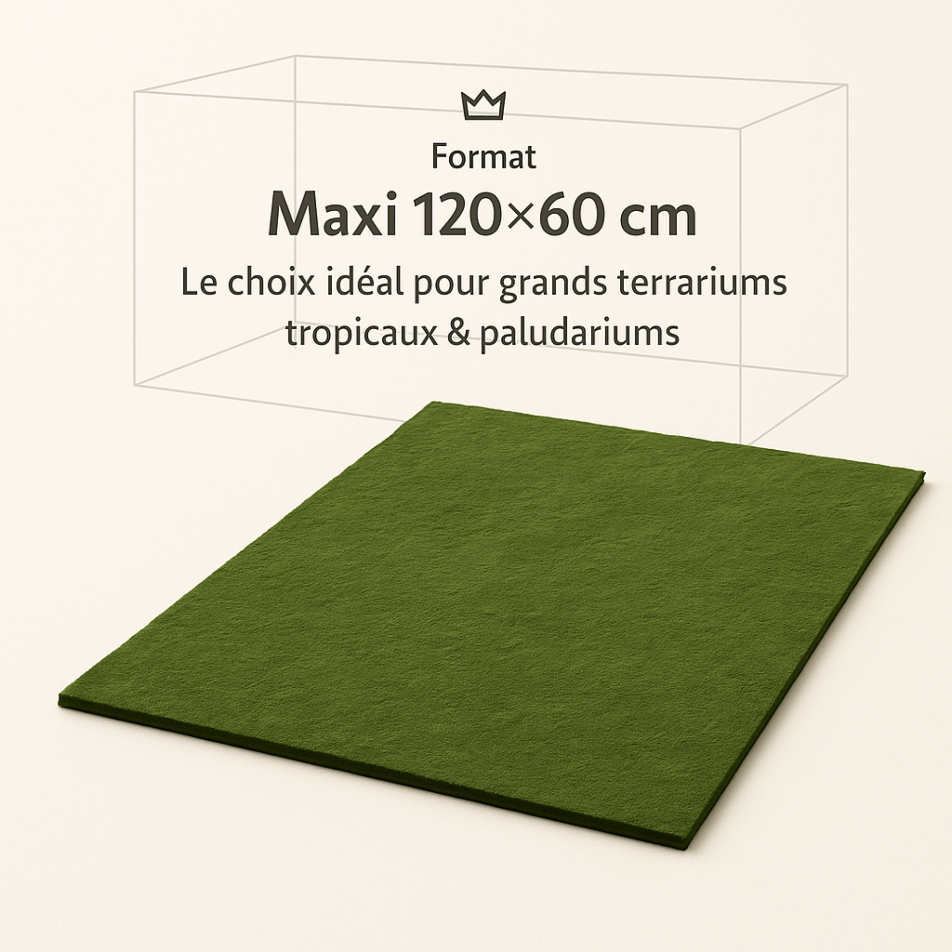 Tapis de Fond en Mousse naturelle pour Terrarium 