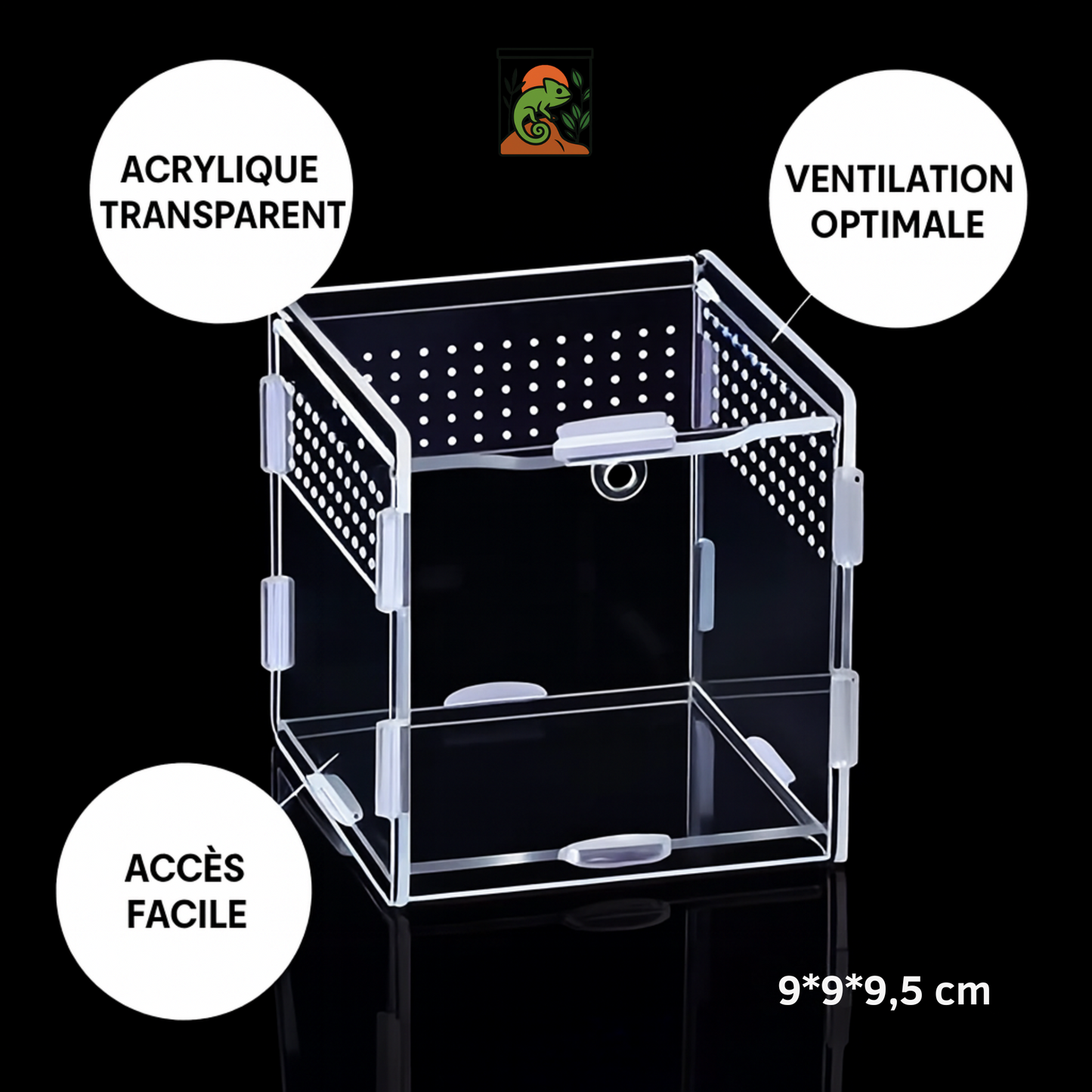 Terrarium Transparent en Acrylique Vertical 
