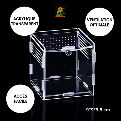 Terrarium Transparent en Acrylique Vertical 
