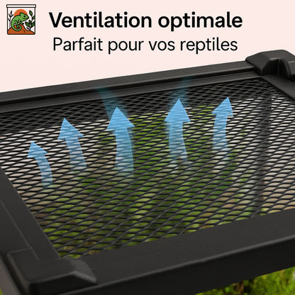 Terrarium en Verre Trempé Haute Transparence 