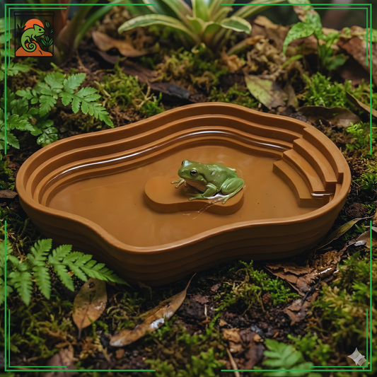 Bassin Solide pour Terrarium 