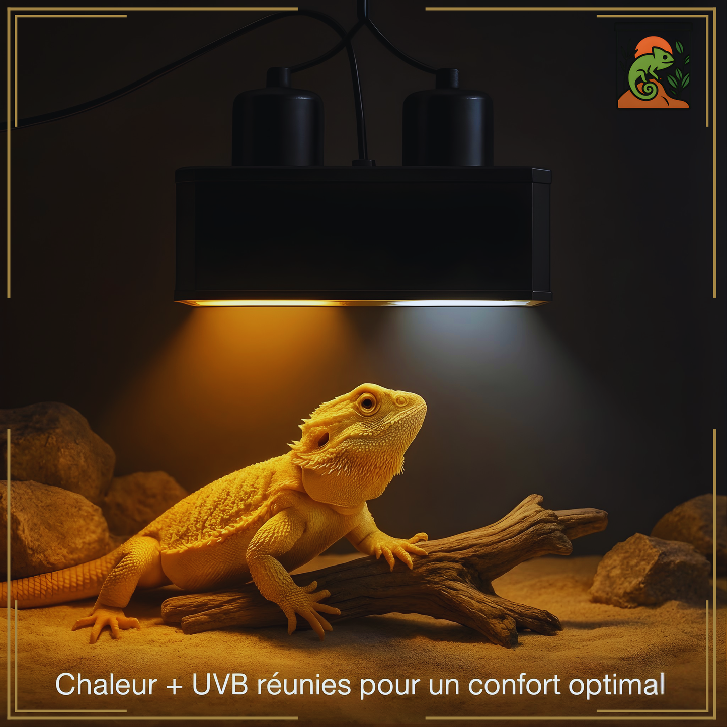 Lampe Double Dôme a Terrarium pour Reptiles 