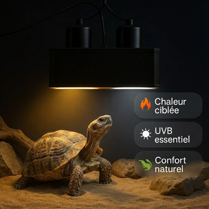 Lampe Double Dôme a Terrarium pour Reptiles 