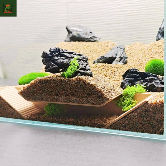 Abris souterrain pour reptile et amphibien – Cachette pour terrarium 