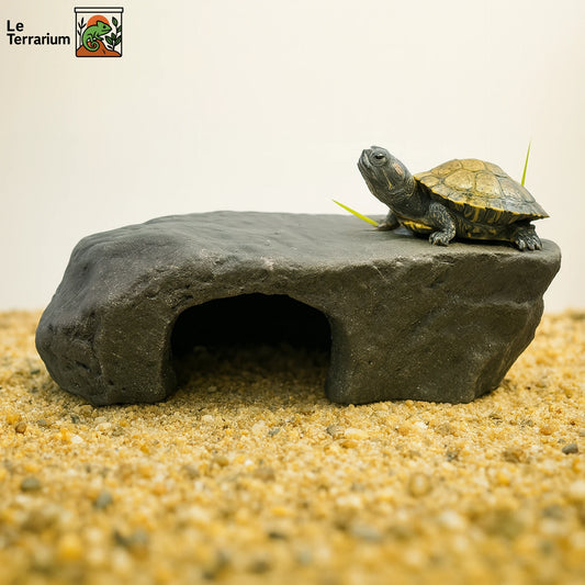 Accessoire Terrarium – 3-en-1 : cachette, repos et escalade 