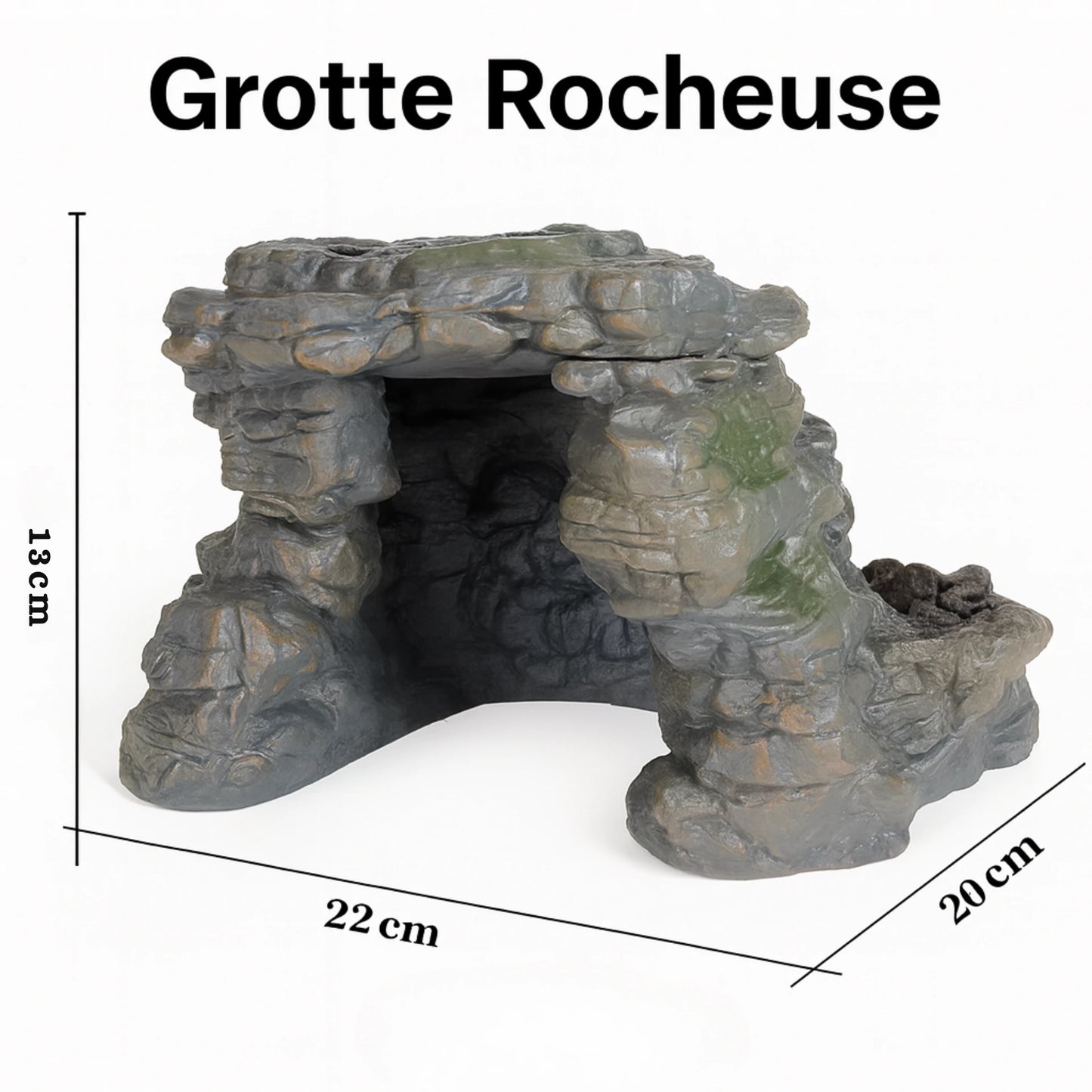 Accessoires pour Terrarium Miniatures en PVC 