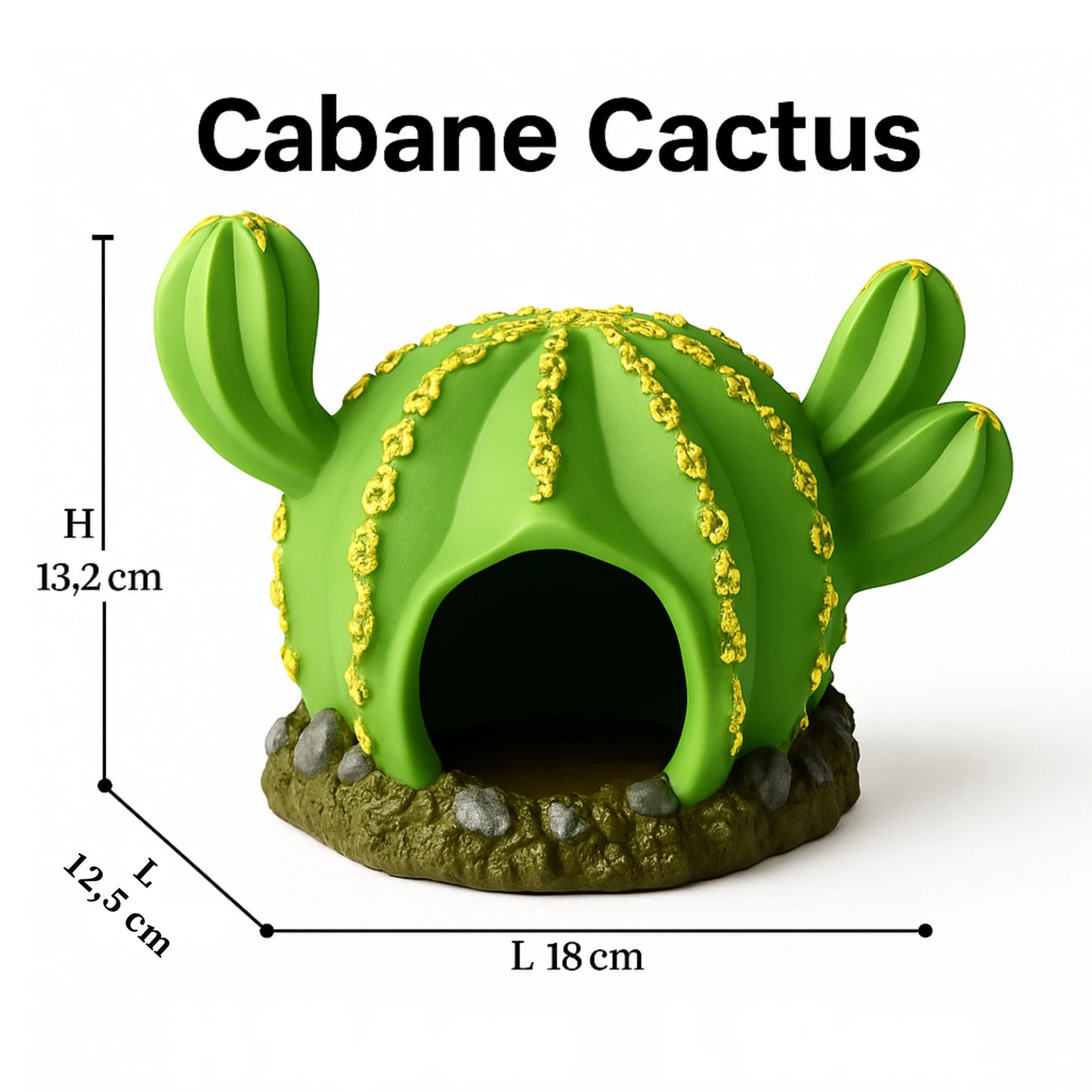 Accessoires pour Terrarium Miniatures en PVC 