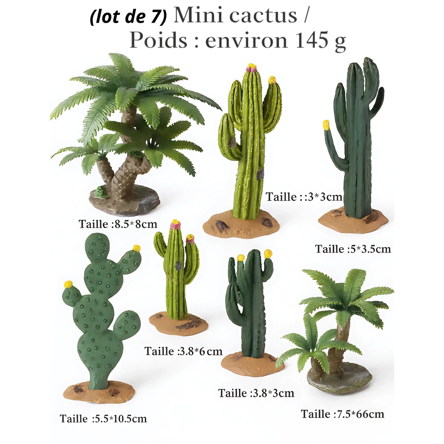 Accessoires pour Terrarium Miniatures en PVC 