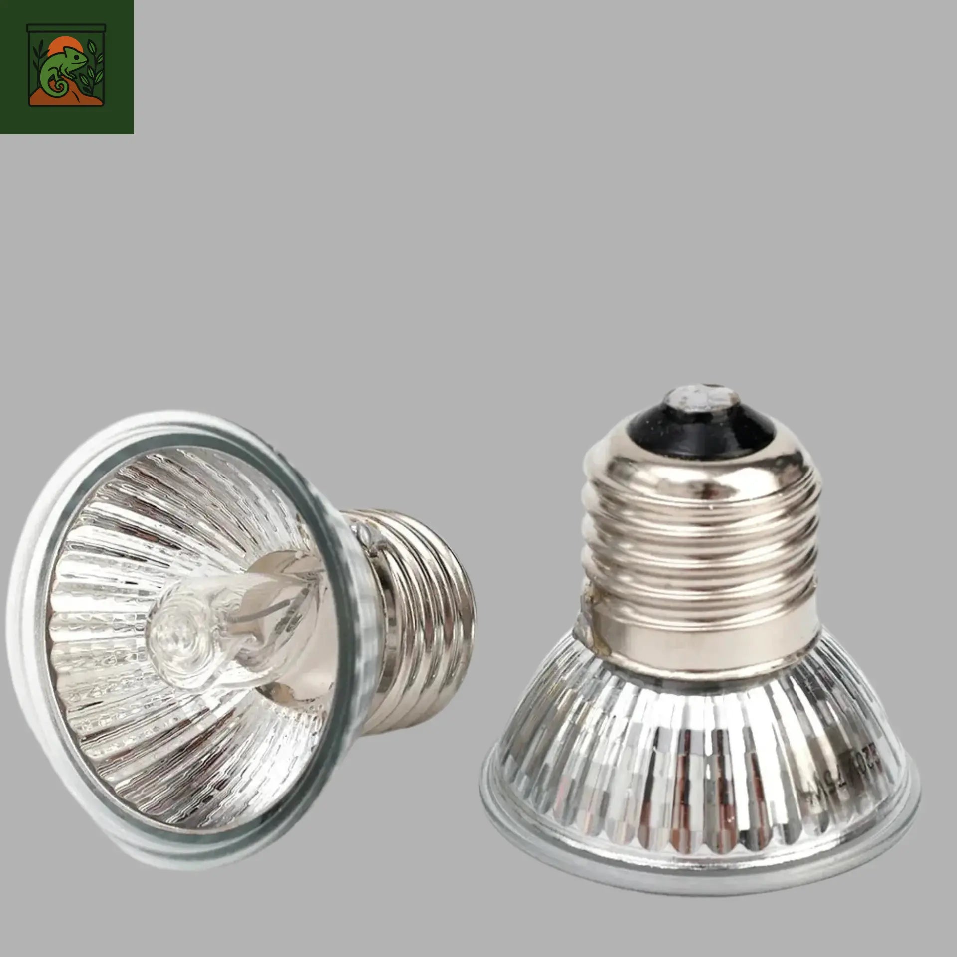 Ampoule UVA pour Reptiles 