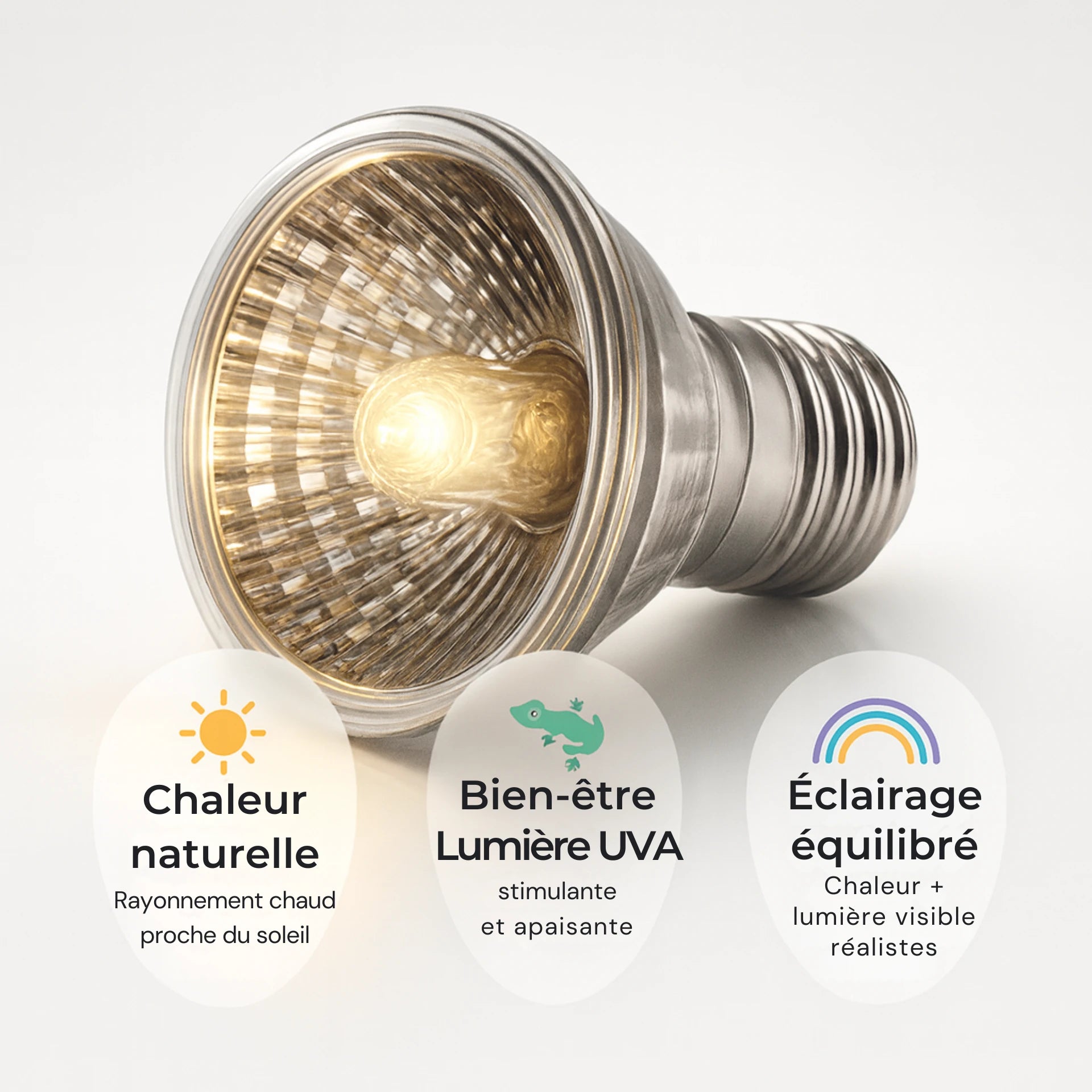 Ampoule UVA pour Terrarium 