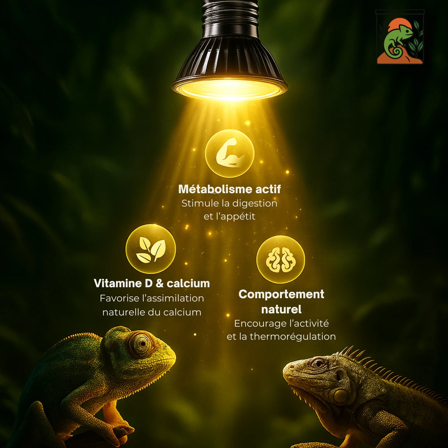 Ampoule UVA pour Terrarium 