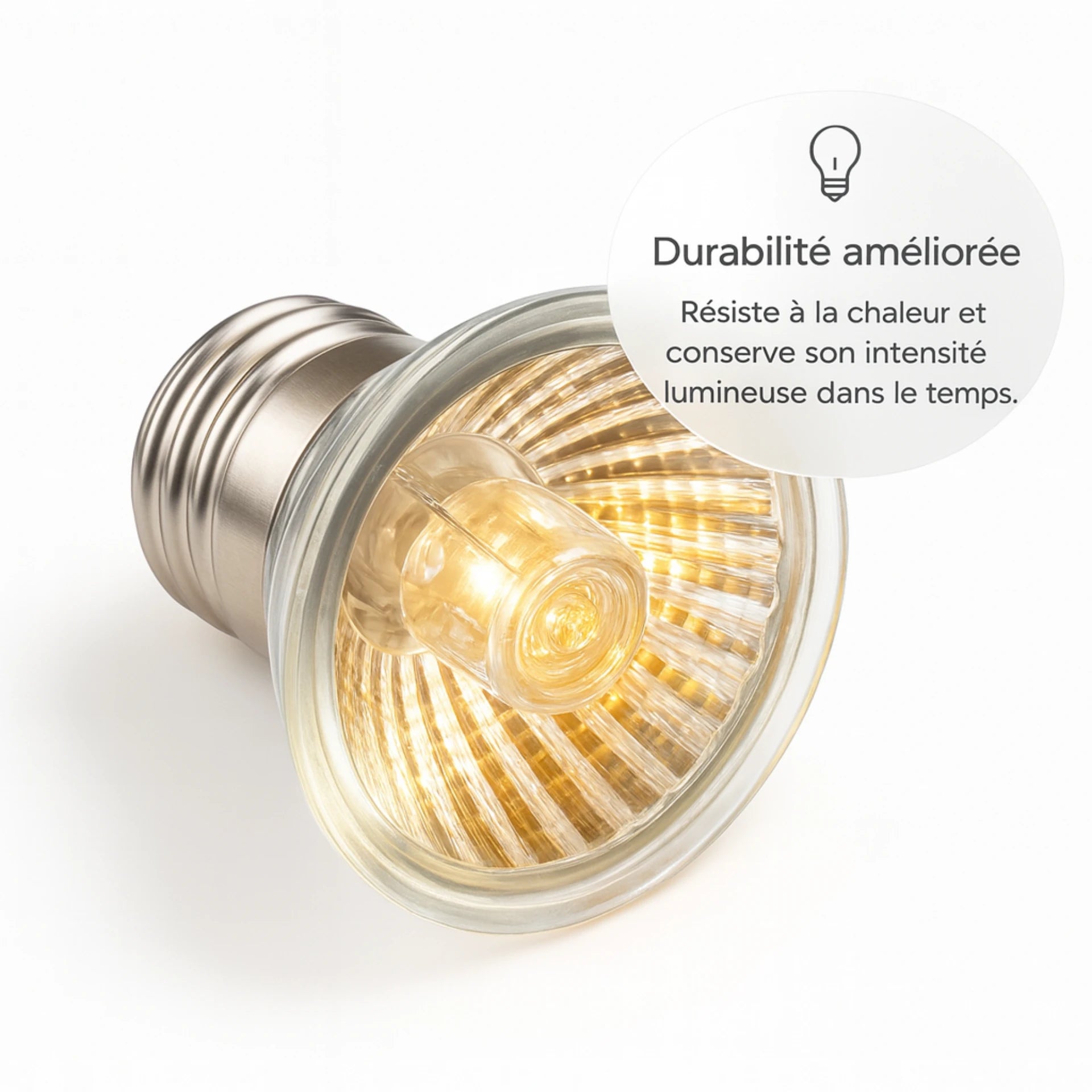 Ampoule UVA pour Terrarium 