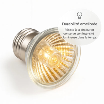 Ampoule UVA pour Terrarium 