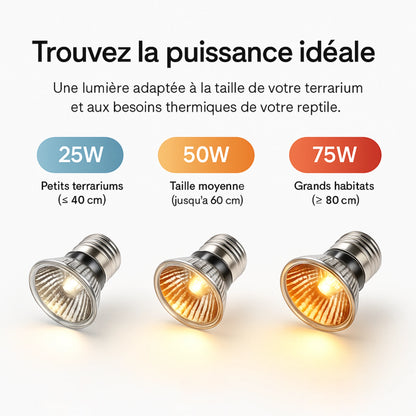 Ampoule UVA pour Terrarium 