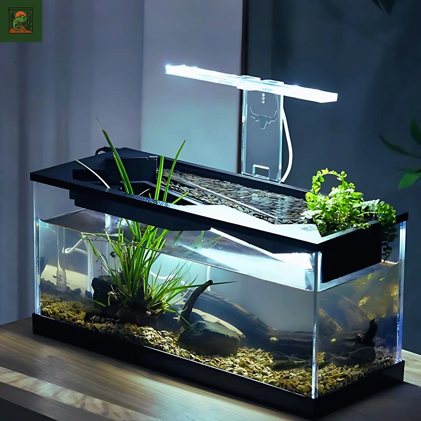 Aquaterrarium en acrylique moderne –Terrarium aquatique Kit tout-en-un 