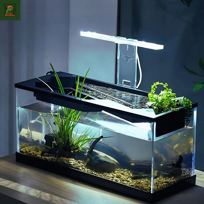 Aquaterrarium en acrylique moderne –Terrarium aquatique Kit tout-en-un 