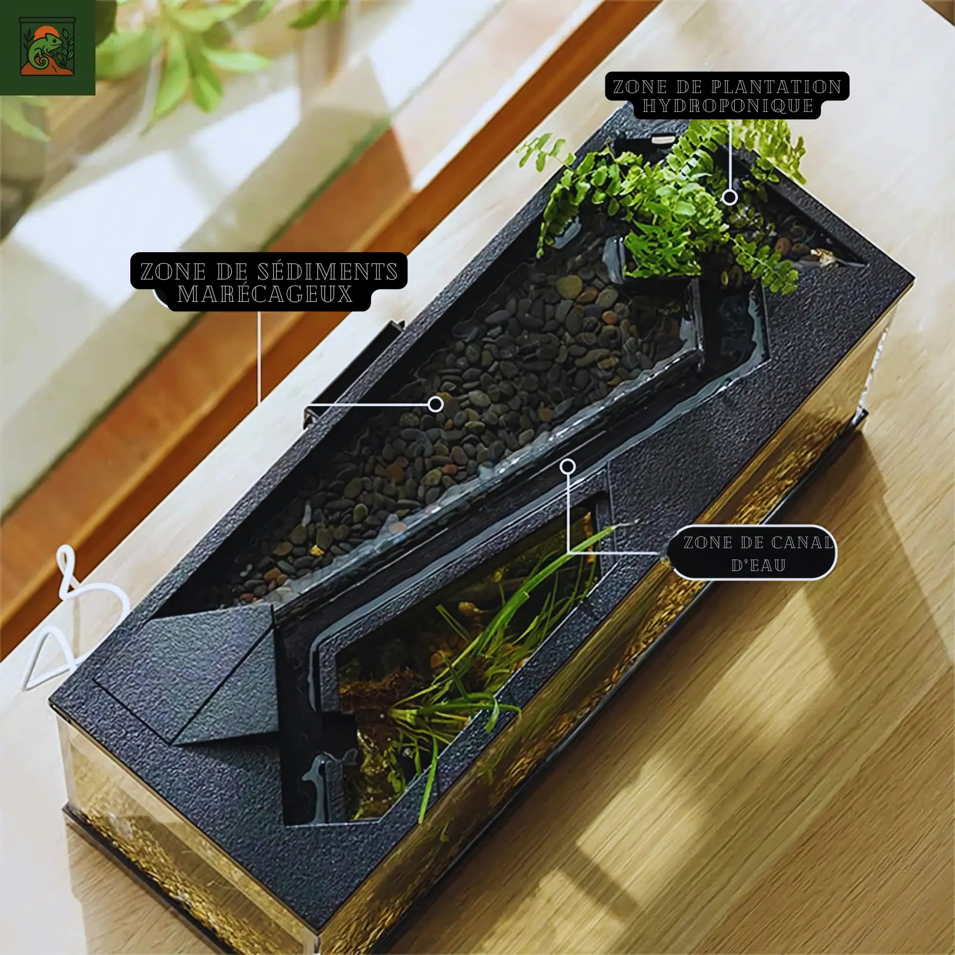 Aquaterrarium en acrylique moderne –Terrarium aquatique Kit tout-en-un 