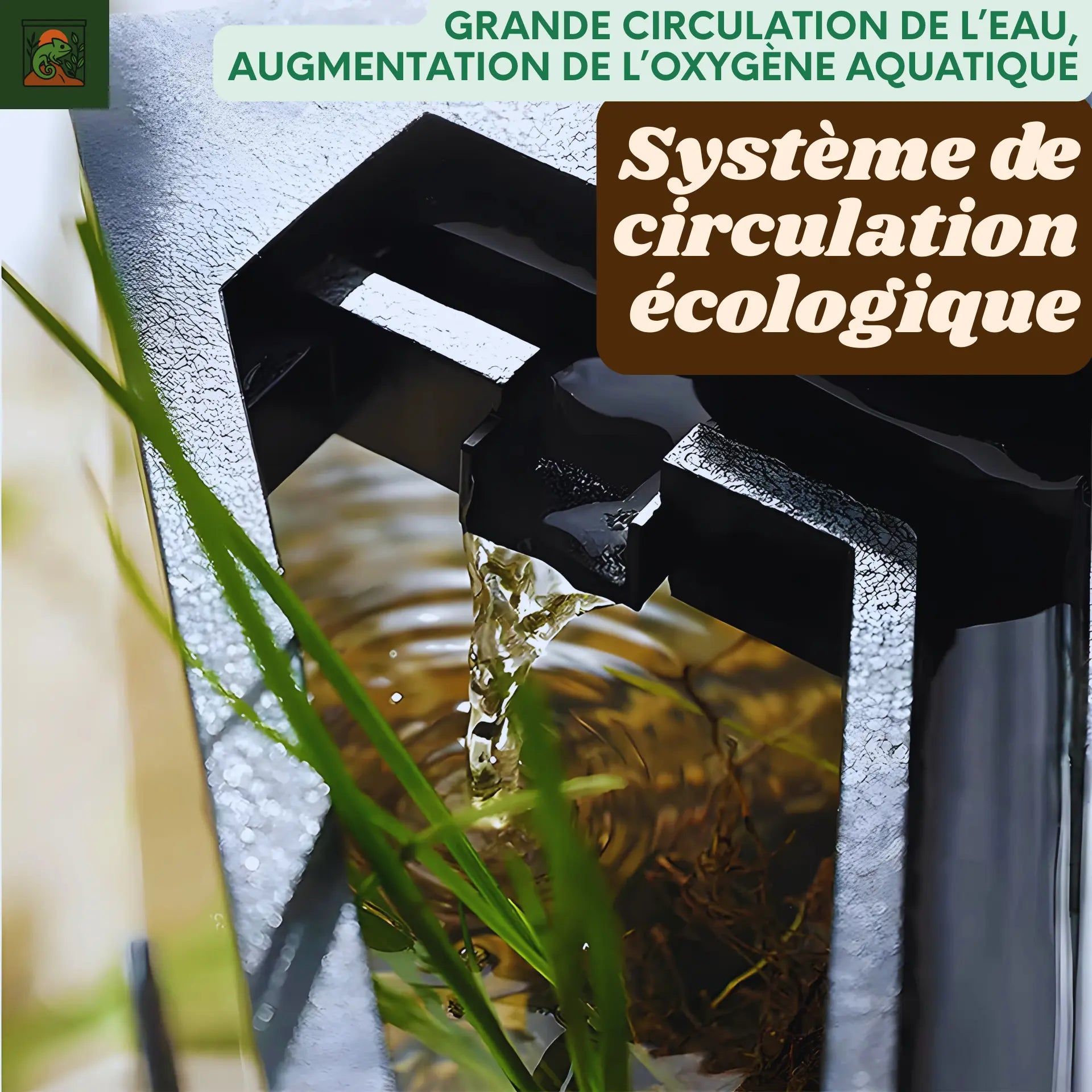 Aquaterrarium en acrylique moderne –Terrarium aquatique Kit tout-en-un 