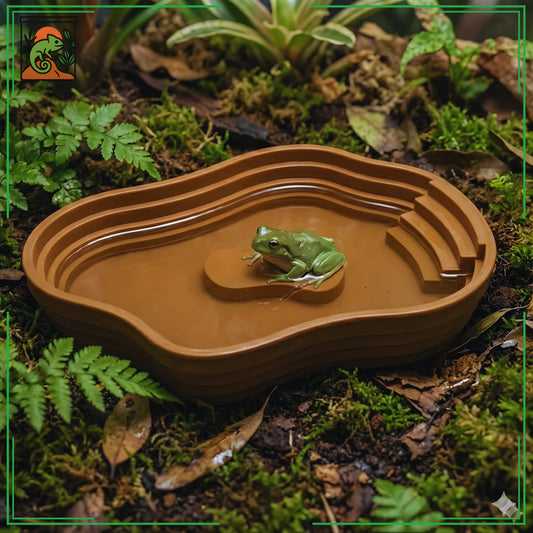 Bassin Solide pour Terrarium 