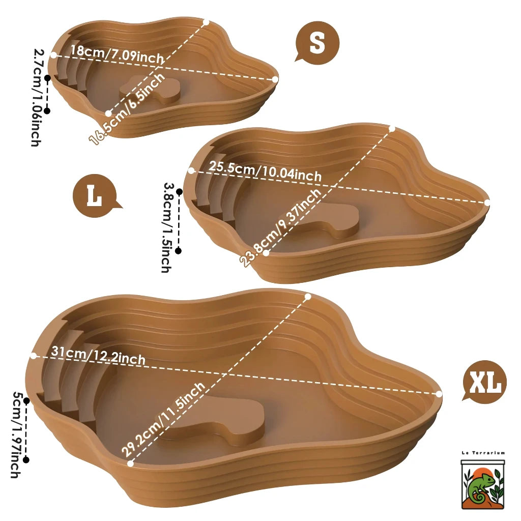 Bassin Solide pour Terrarium – Point d’Eau Naturel & Polyvalent 